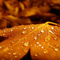 Михаил Круг – Осенний дождь