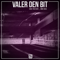 Valer den Bit - Have You Ever (Original Mix) // Incepto Deep [IDL030]