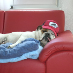 Mad Music - Mad Dä Flo