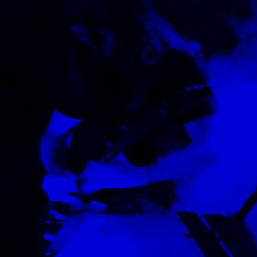 A Minute For Mary R.I.P