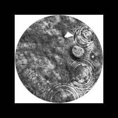 Recondite - DRGN 2