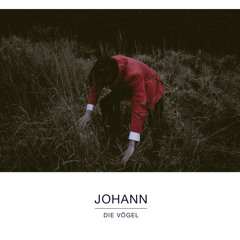 Johann - Die Vögel (live)
