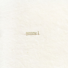 Sebastian Mullaert & Patrick Siech - Genome 1 (Sebastian Mullaert Dub)  (snippet)