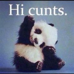 Road To San Sebastian Vol II (Street)