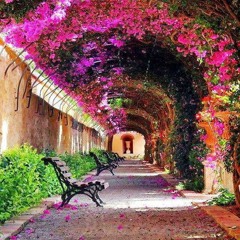 Preet - DownloadMing.SE