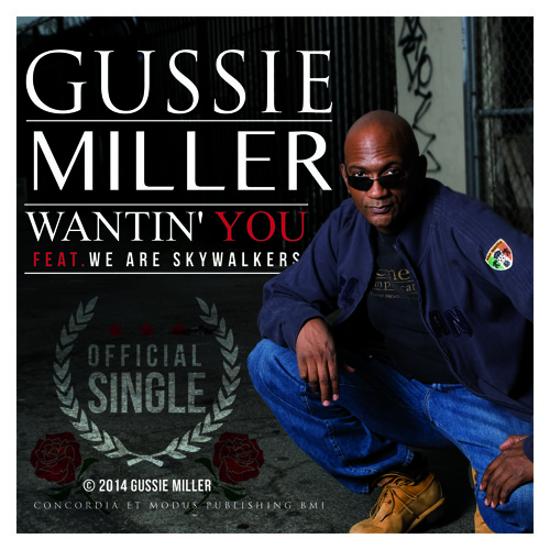 Stream Wantin You Featuring Weareskywalkers By Gussie Miller 