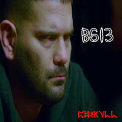 B613(VIP)