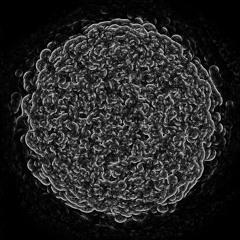 ARASH AKBARI passing flares (excerpt from ST005)