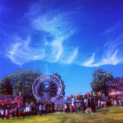 Suspended Animation