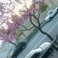 heyimricky! - what/was/am/i