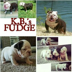 Hatin On My Bloodline