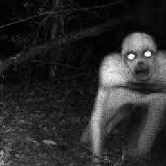 Inacreditável, Algo Nunca Acontecido Na Iurd. Kkkkk