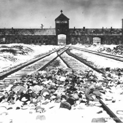 Die Brötchen in Auschwitz