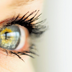 Different Levels Of Perception