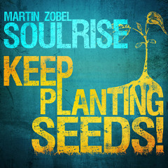 Martin Zobel & Soulrise - Keep Planting Seeds (Album MegaMix) [Irievibrations Records 2014]