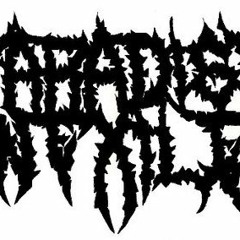 Paradise In Exile - In The Flesh (DEMO(N)