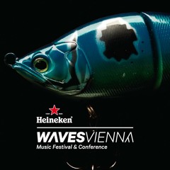Austrian Acts at Waves Music Festival