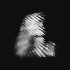 Away With The Fairies