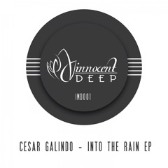 IMD001 - Cesar Galindo - INTO THE RAIN EP