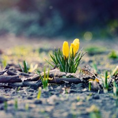 Magic - Rude cover by B.O.S (Iseng)