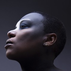 Meshell Ndegeocello