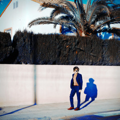 Wouter Hamel - Never Trust A Man (Falco Benz Remix)