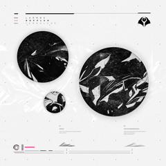 Larrge - Doppler