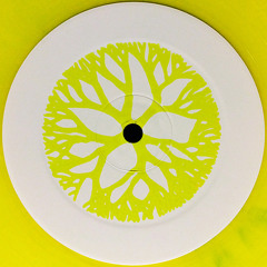 RHYTHM012 - Africans With Mainframes - Nubian Rainbows