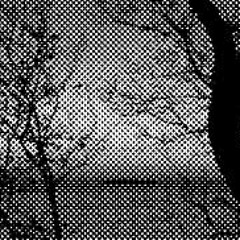 Santo Imperio_.Horas de Desvelo