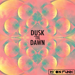 Dusk Till Dawn by Zoo Crew