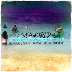 Seaworld [Prod. By Bravestarr Beats]