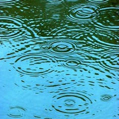 Sweet Summer Rain - Kevin Jenkins