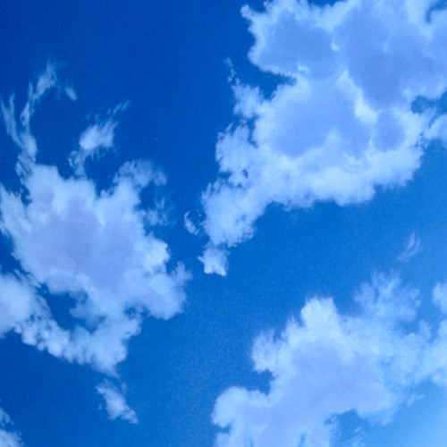 Fit Shichao! ~Toshiue Josei To Asedaku Lesson Hatsutaiken~
