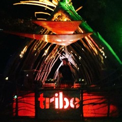Tribute to Decadent Oasis and Tribe garage sets