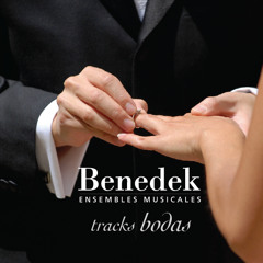 MUSICA PARA BODAS - Ceremonia