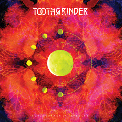 Toothgrinder - The Hour Angle