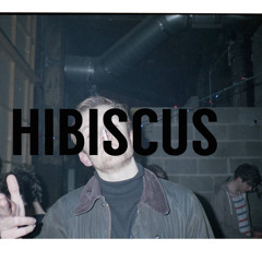 Hibiscus - Silent Summer Ft. Izzy Layne