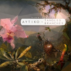 Hummingbird (Aytiko + Tangled Branches)