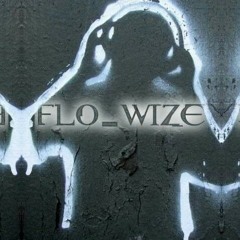 Flo-wize Now