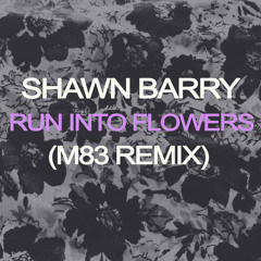 Run Into Flowers (M83 Remix)