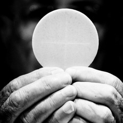 Fr. Matthew Dalrymple: "Deepen your Participation at Mass"