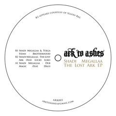 Shadi Megallaa - The Lost Ark (Feat. Lucky Luke)