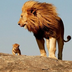 My girls n i,seeking for God's heart. Women on fire for God and involved in the good fight at Paris