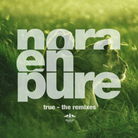 Nora En Pure - True (Lexer Remix)