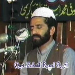 Nat Sharif Qari Zubaid Rasool(Arsh Ki Aqal Dhang He.