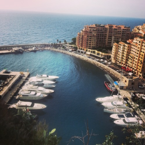 Monaco Vibes