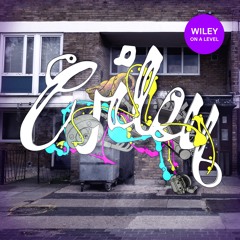 Wiley - 'On A Level'