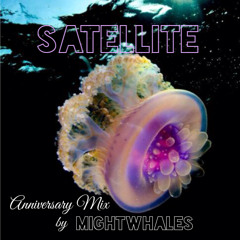 Satellite 1st Anniversary Mix