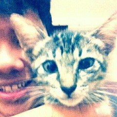 Fly Me To The Moon (Fun Cover)