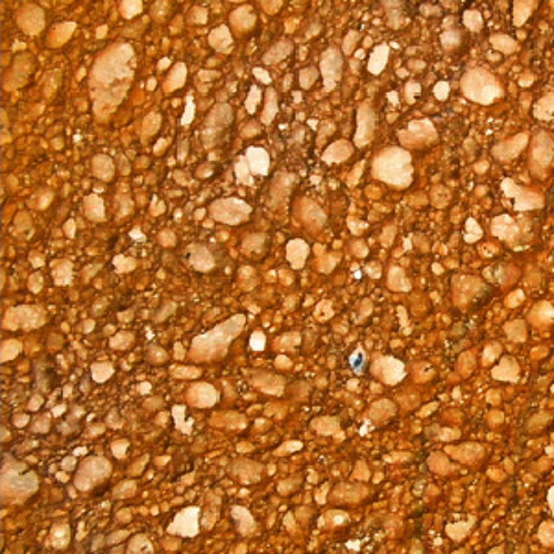 Sponge Mites
